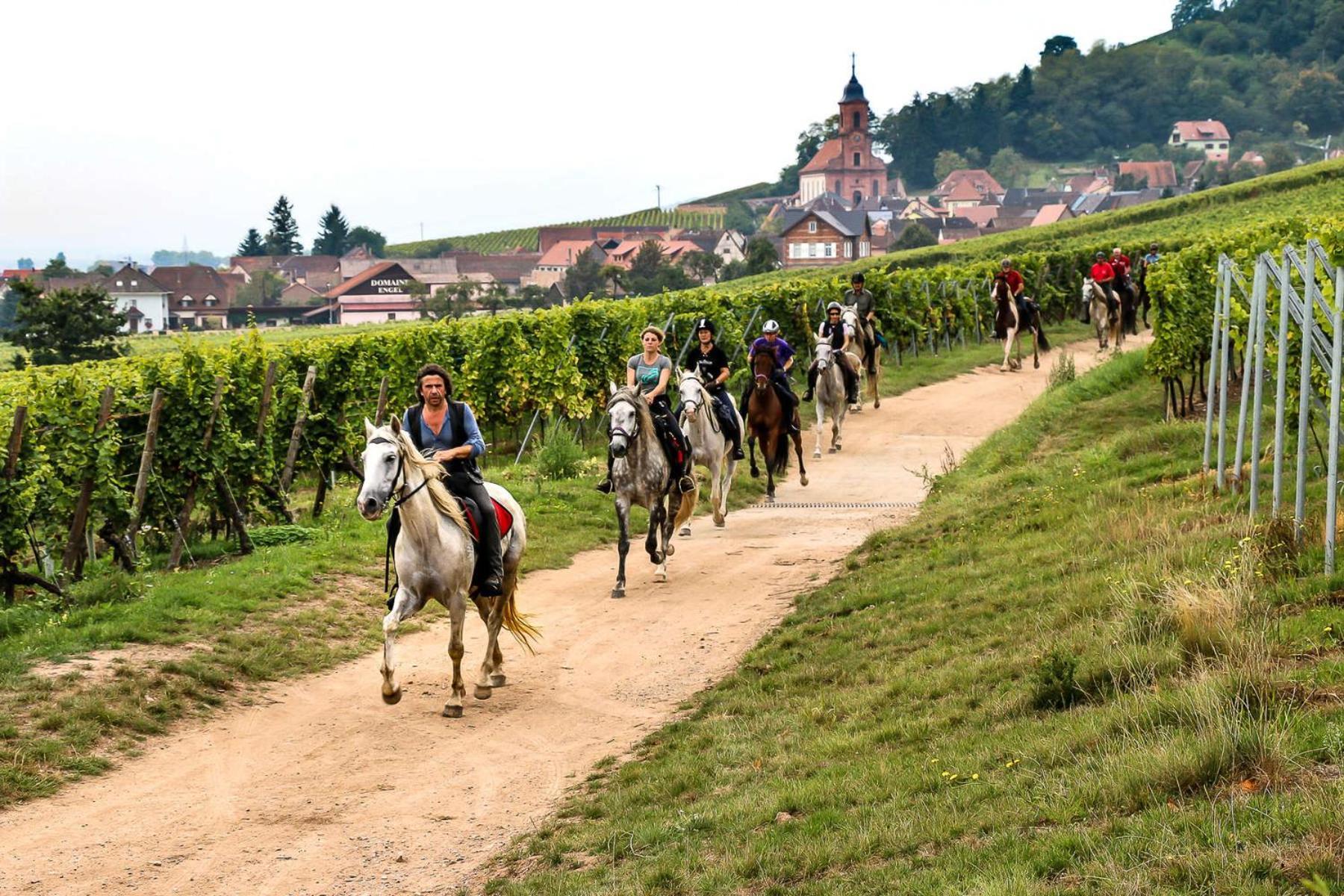 Gite Chez Vero Breitenbach-Haut-Rhin Exterior foto
